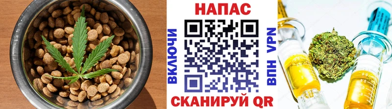 Cannafood марихуана  Купить закладки  Бронницы 