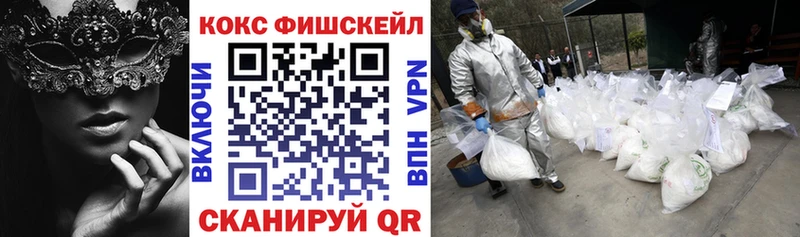 COCAIN Fish Scale  Купить закладки  Бронницы 
